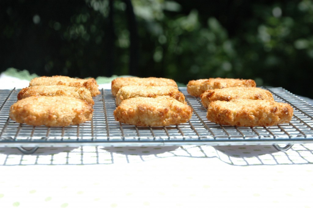 chewy coconut cookies