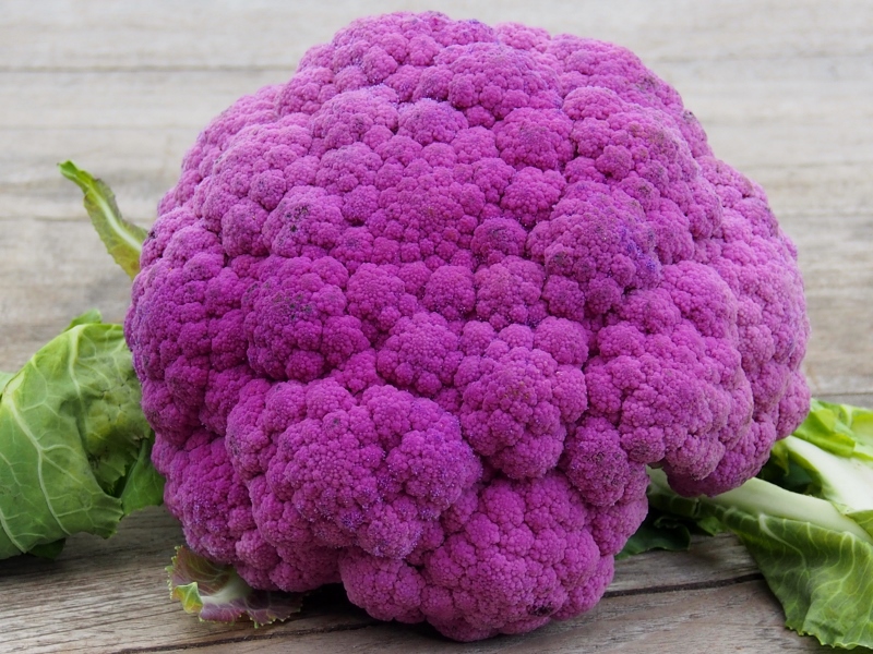 purple cauliflower!